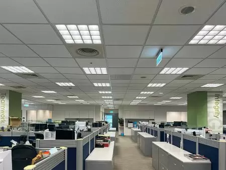 Foreign Corporate Headquarters Office Energy-Efficient Lighting Replacement Project